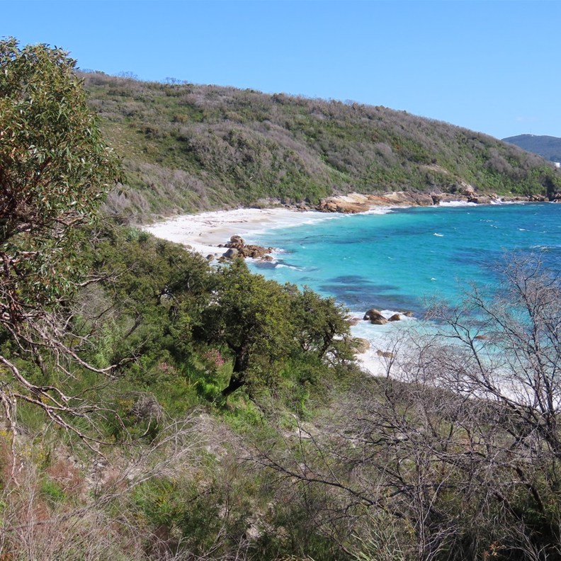 Whalers Cove