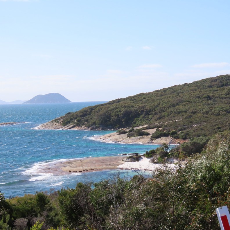 Whalers Cove 2