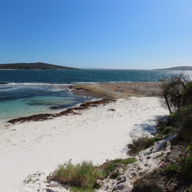 Whalers Cove 4