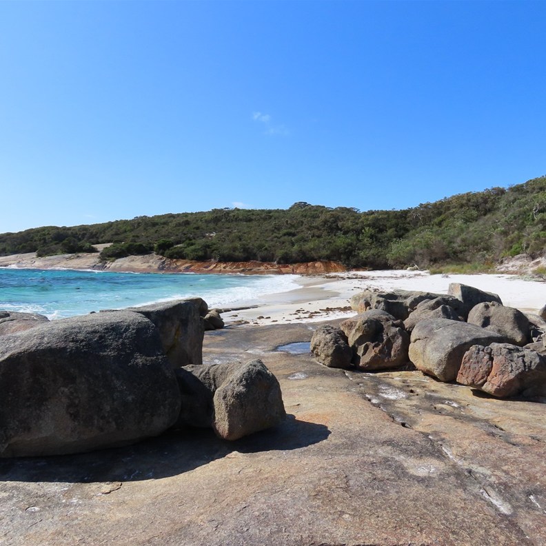 Whalers Cove 5