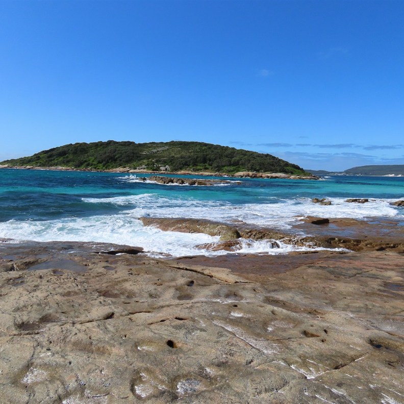 Whalers Cove 6
