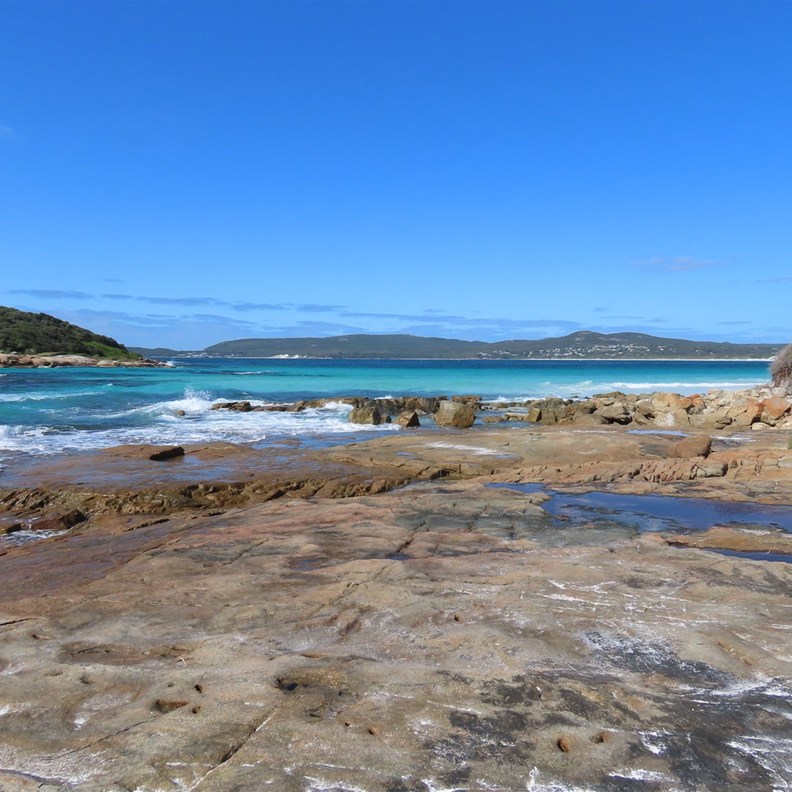 Whalers Cove 7