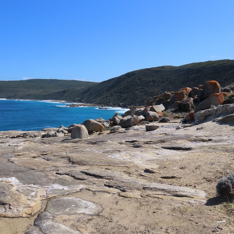 The Blowholes 3
