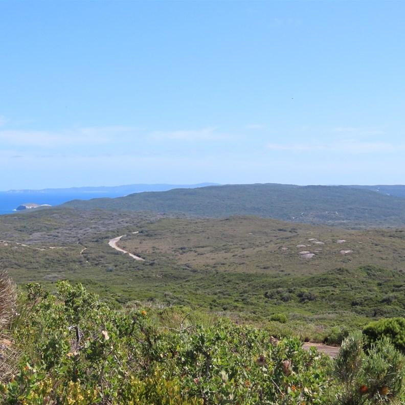 Stony Hill 