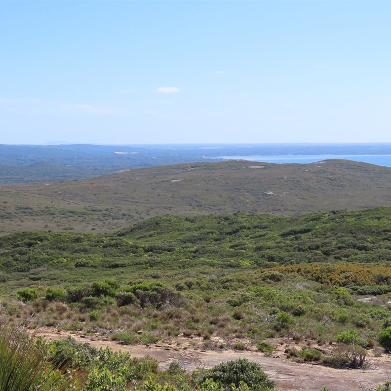 Stony Hill 2