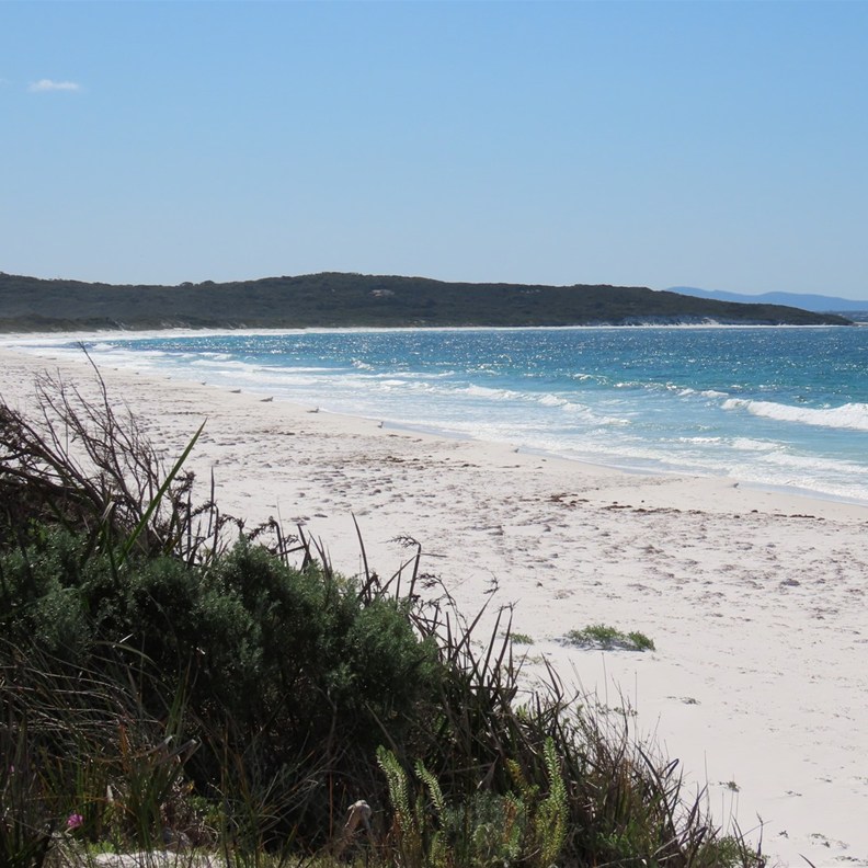 Goodie Beach