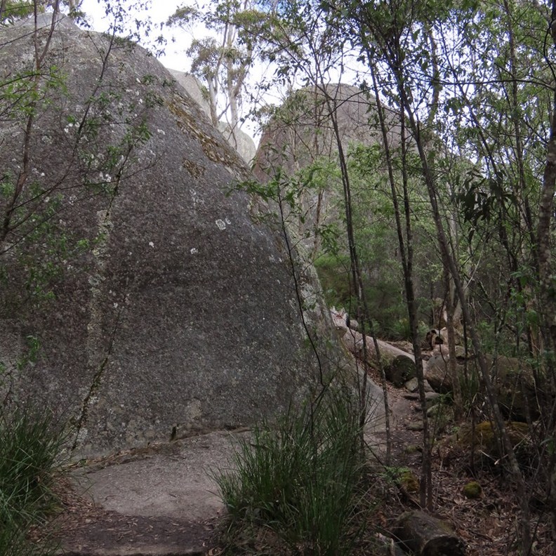 Castle Rock 3