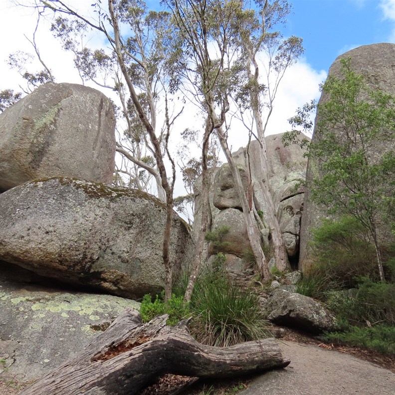 Castle Rock 4
