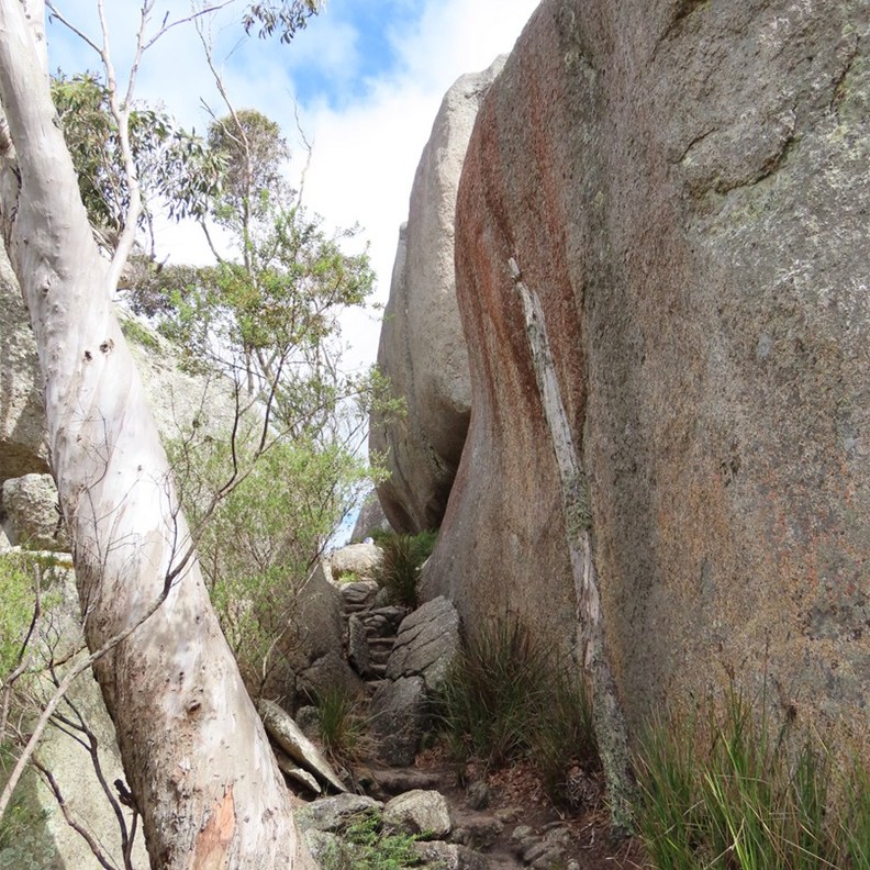 Castle Rock 5