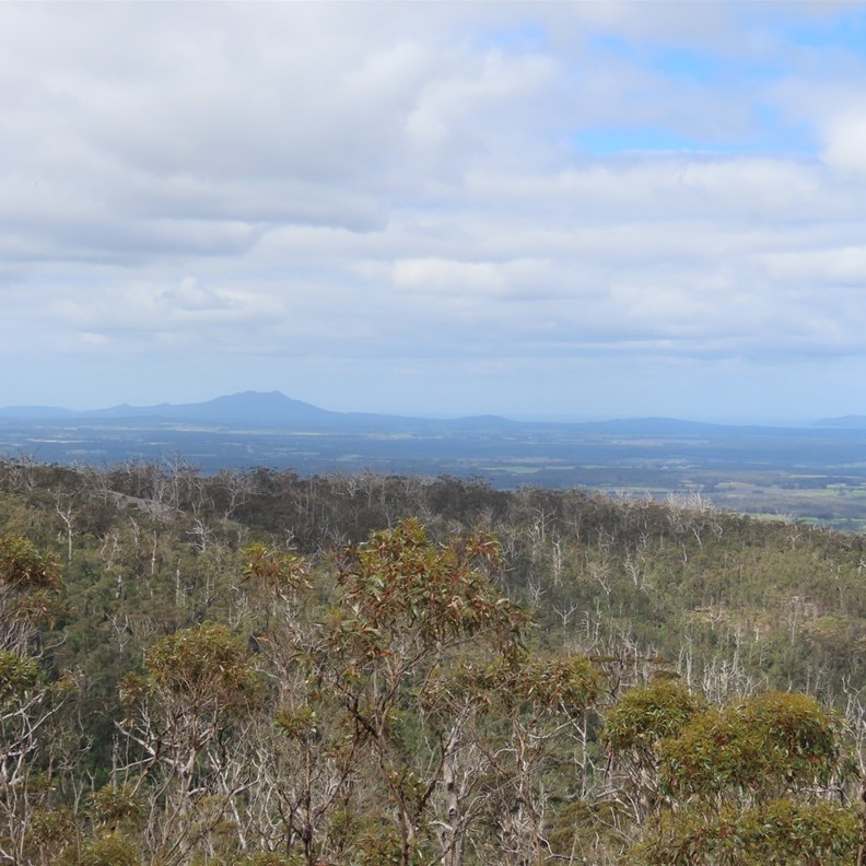Lower Lookout