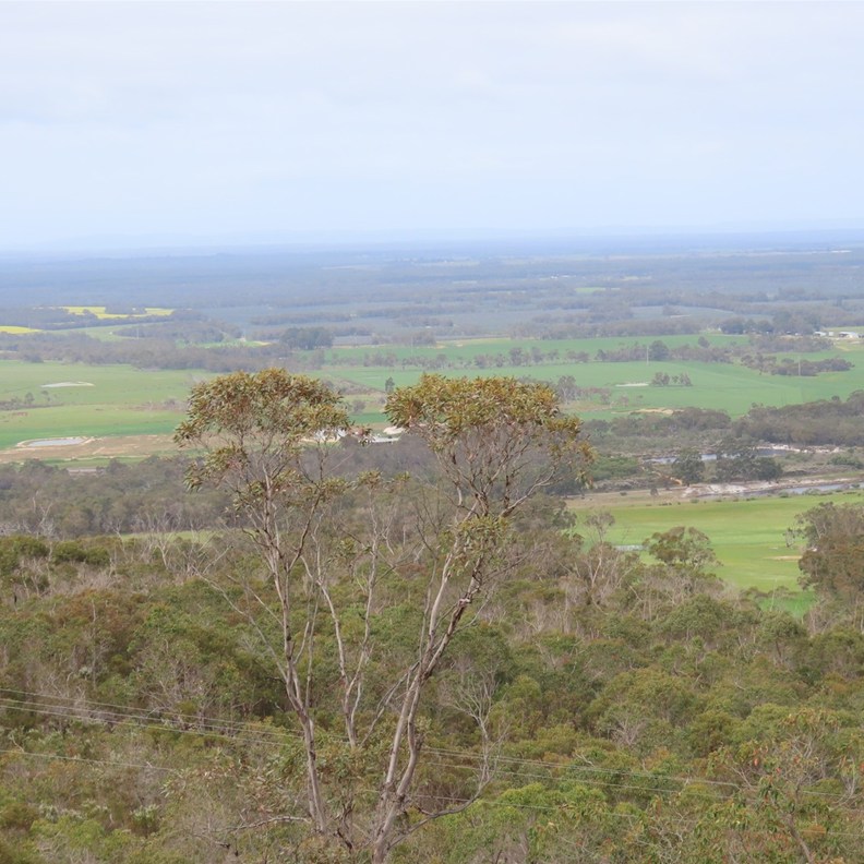 Mt Barker Lookout 3