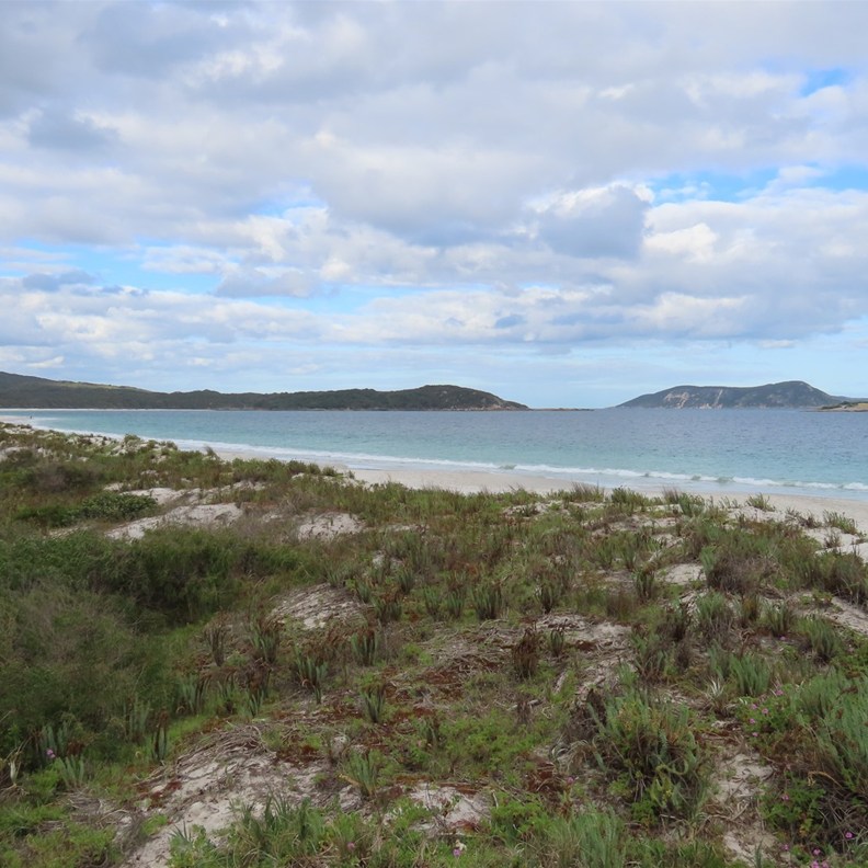 Ledge Beach