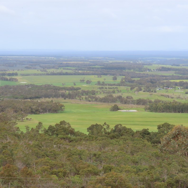 Mt Barker Lookout 4