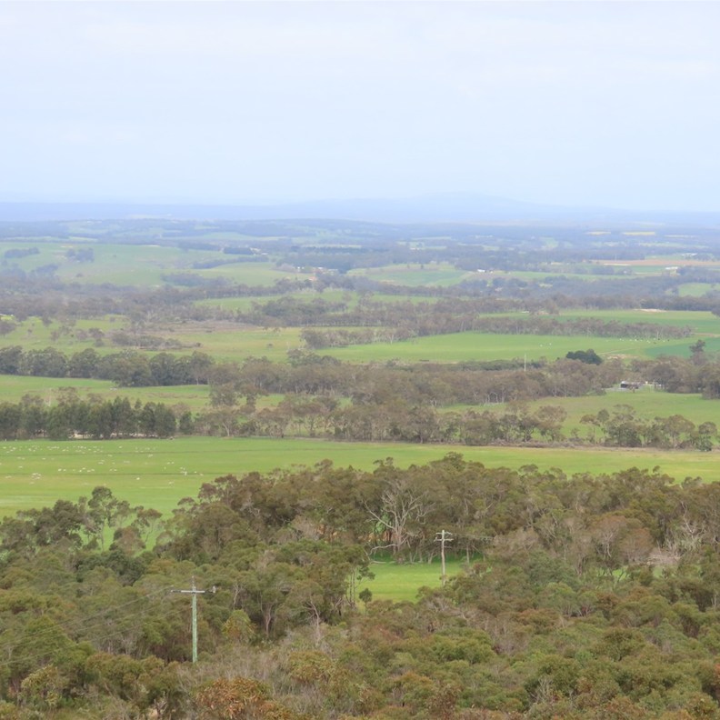 Mt Barker Lookout 5