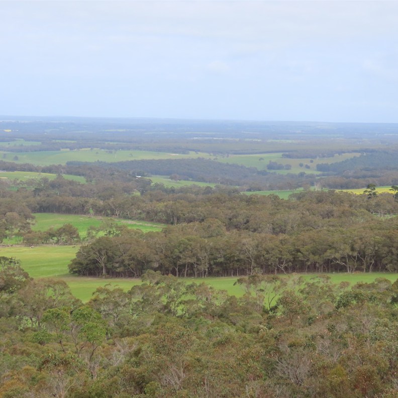 Mt Barker Lookout 6