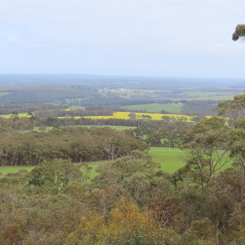 Mt Barker Lookout 7