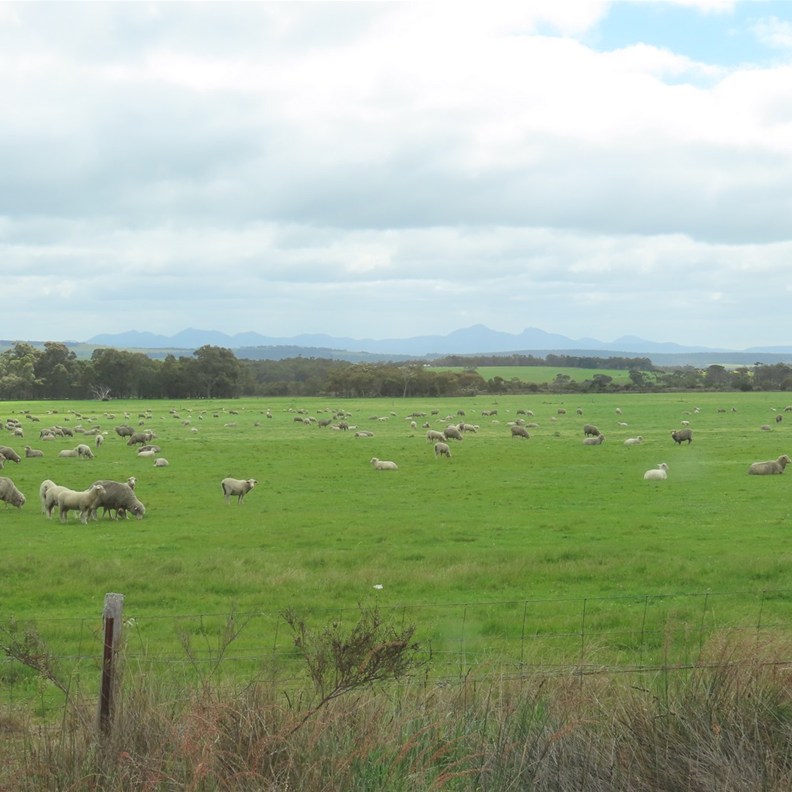 Porongurup Tourist Drive