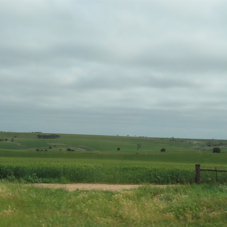 Road to Esperance
