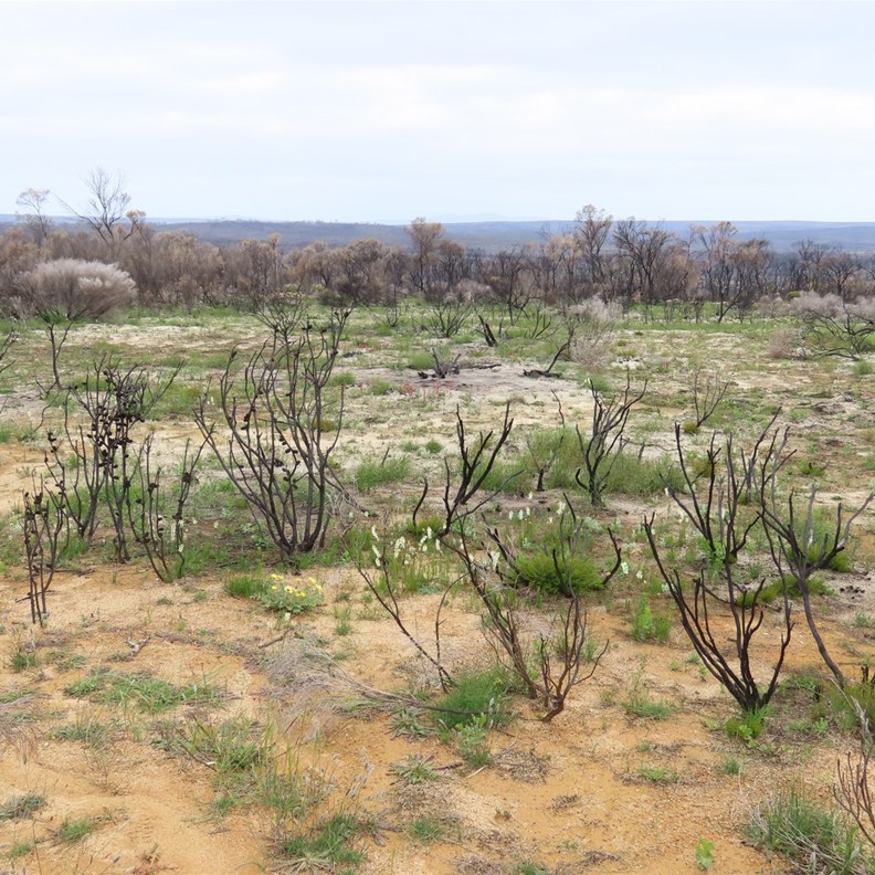 Kukenurup Memorial Site