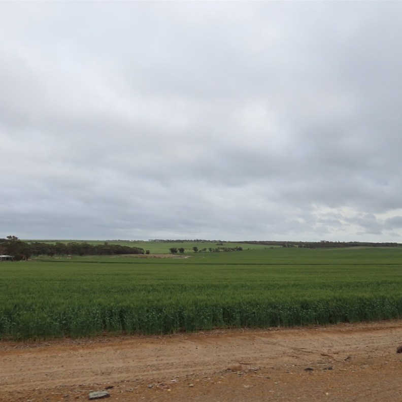 Road to Esperance 2