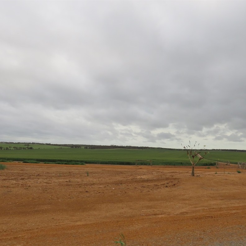 Road to Esperance 3
