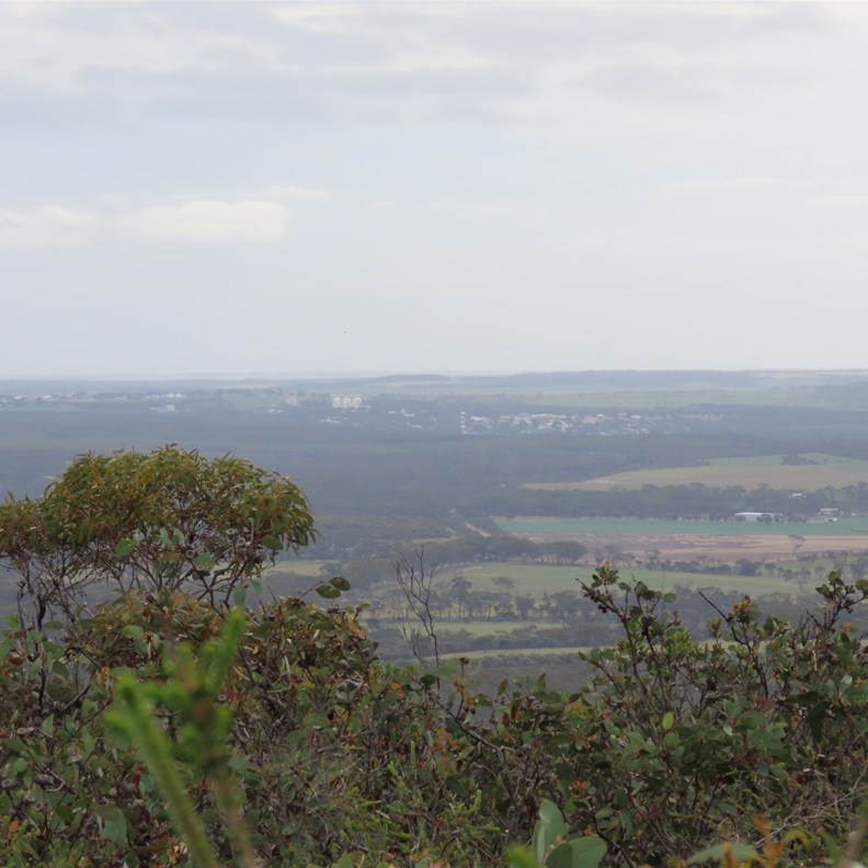 Lookout 2