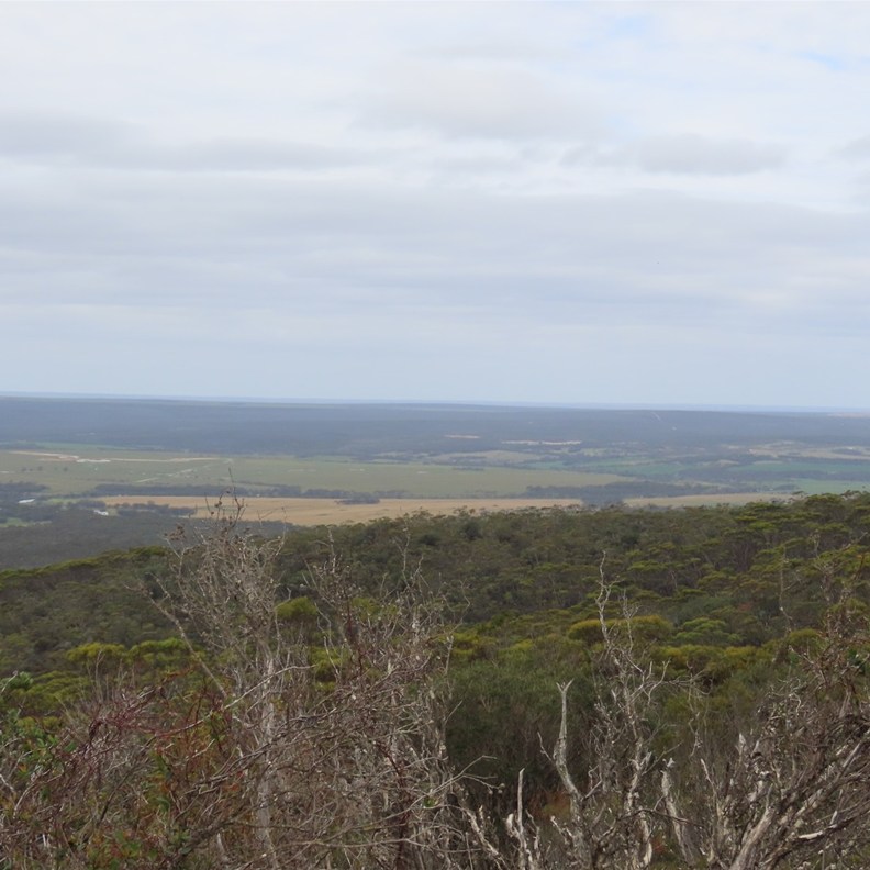 Lookout 3