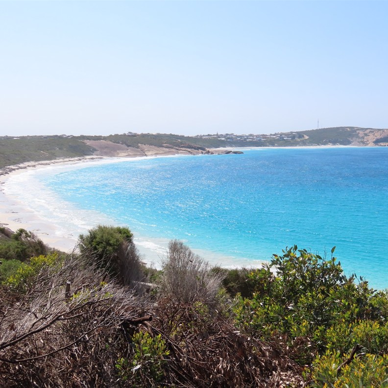 Blue Haven