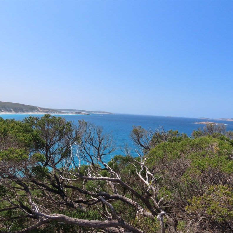 Observation Point