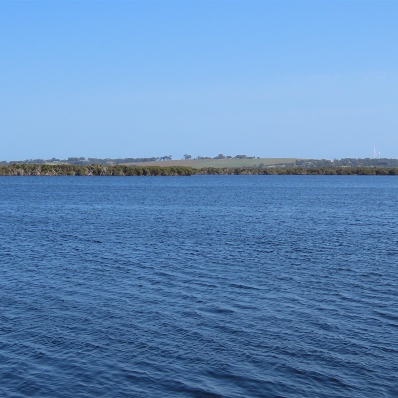 Woody Lake