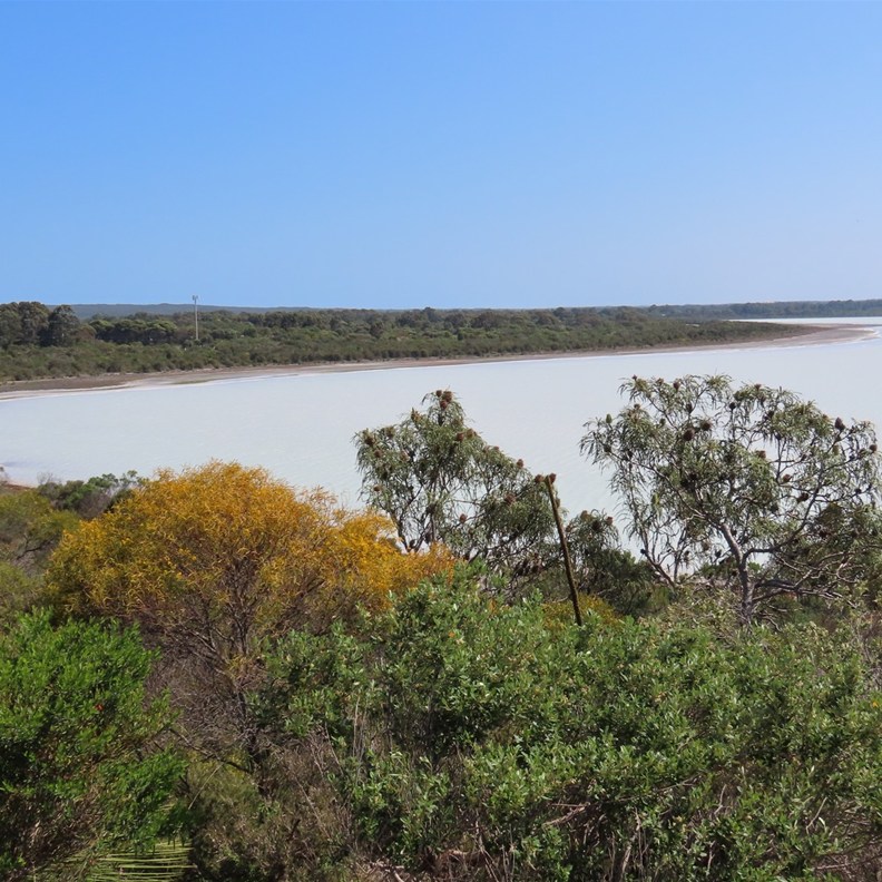 Pink Lake