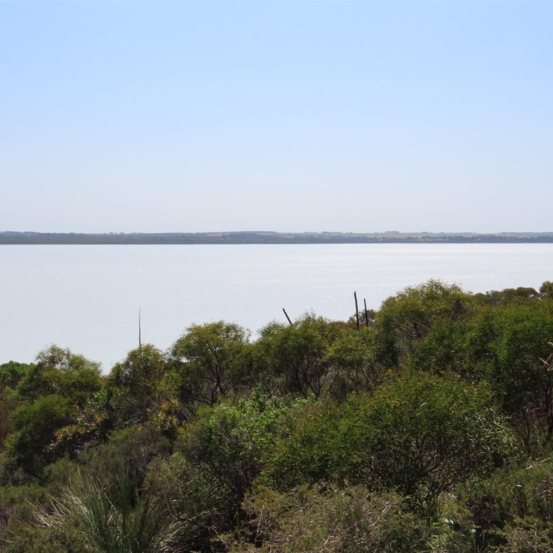 Pink Lake 2