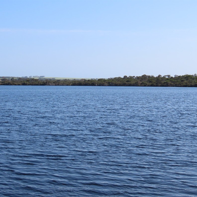 Woody Lake 2