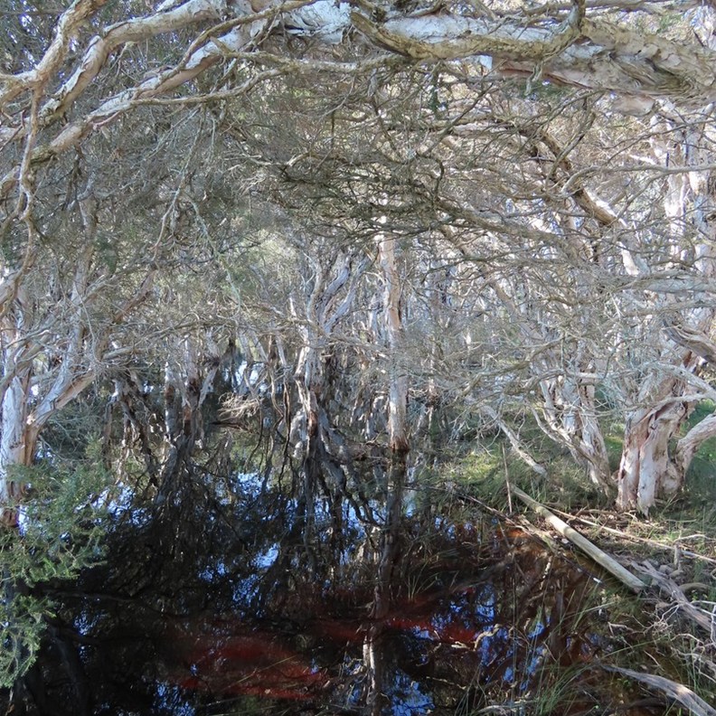 Lake Monjingup