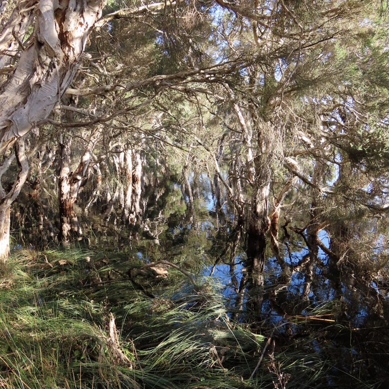 Lake Monjingup 2