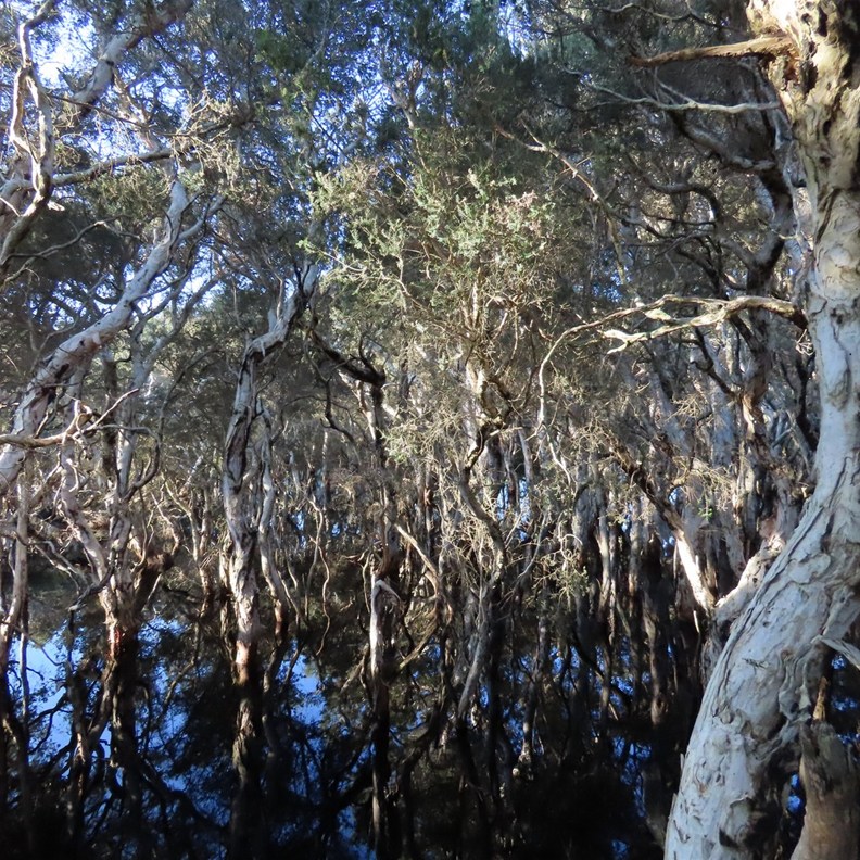 Lake Monjingup 4
