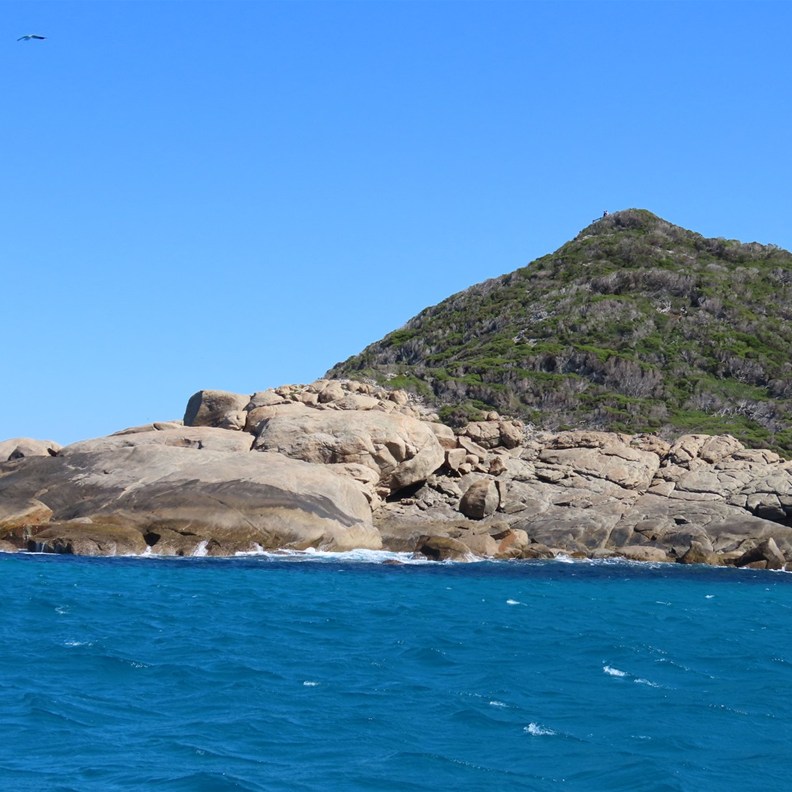 Island Cruising 5