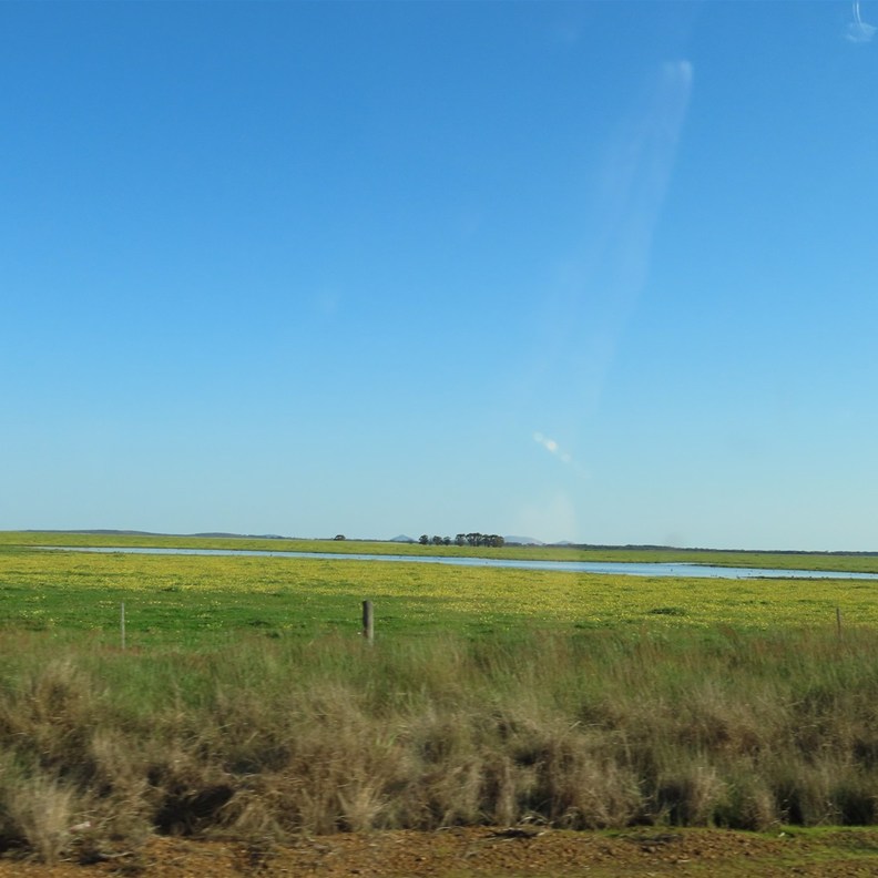 Countryside