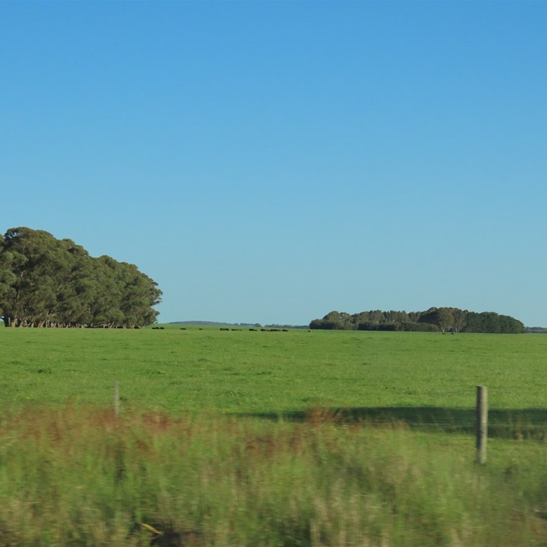 Countryside 2