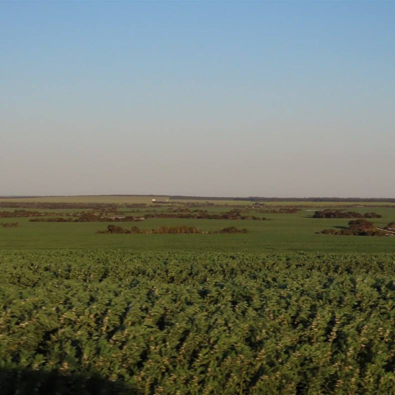 Countryside 4