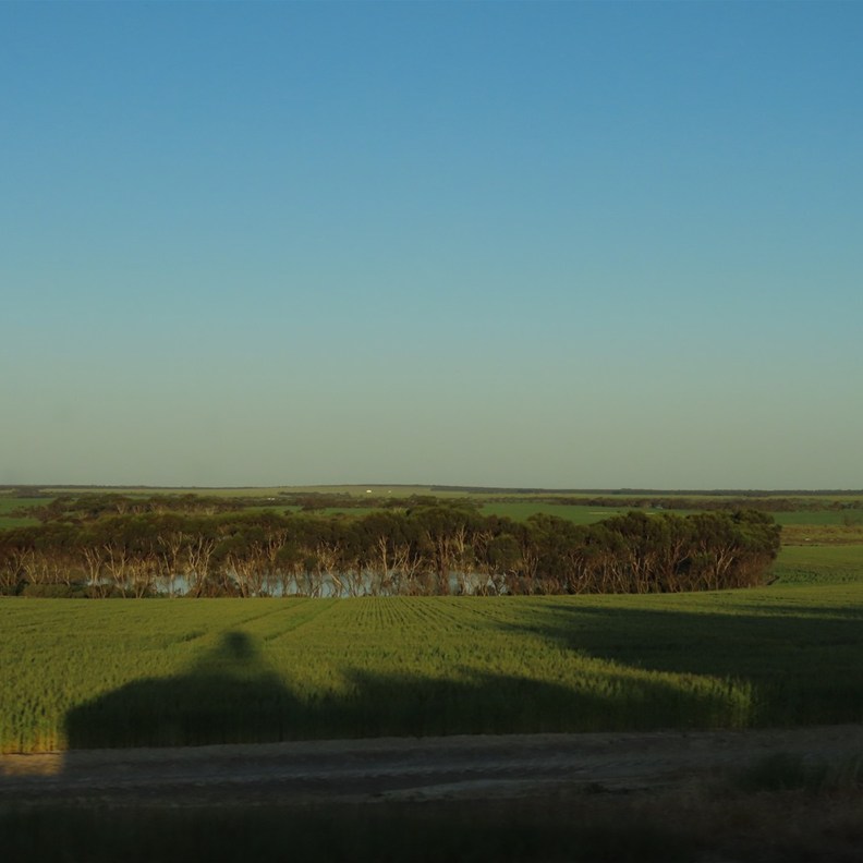 Countryside 5