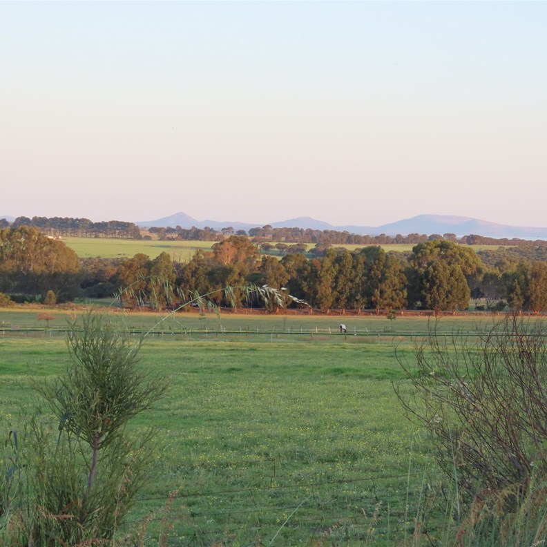 Countryside 7