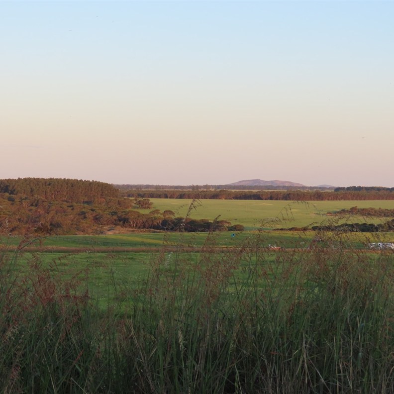 Countryside 8