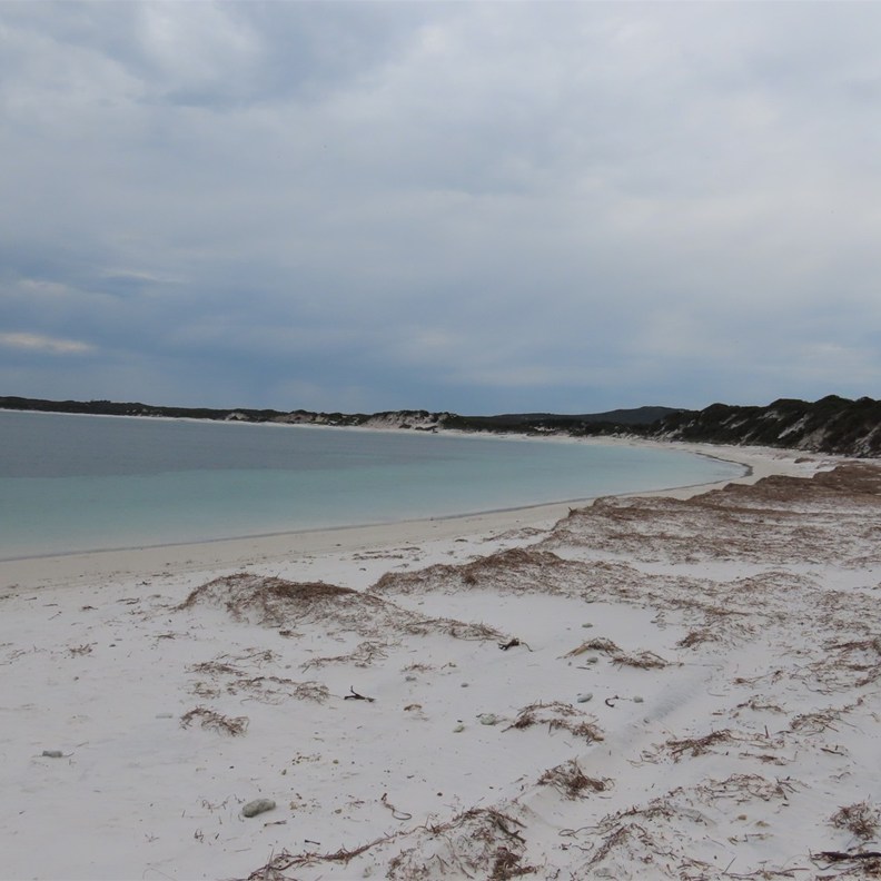Orleans Bay 3