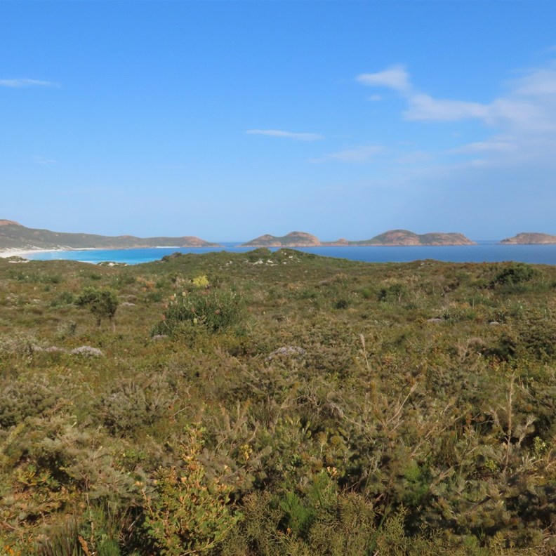 Lucky Bay
