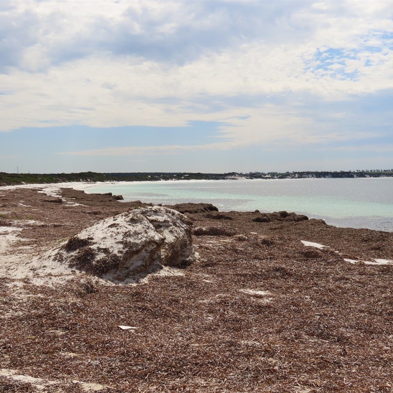 Orleans Bay 4