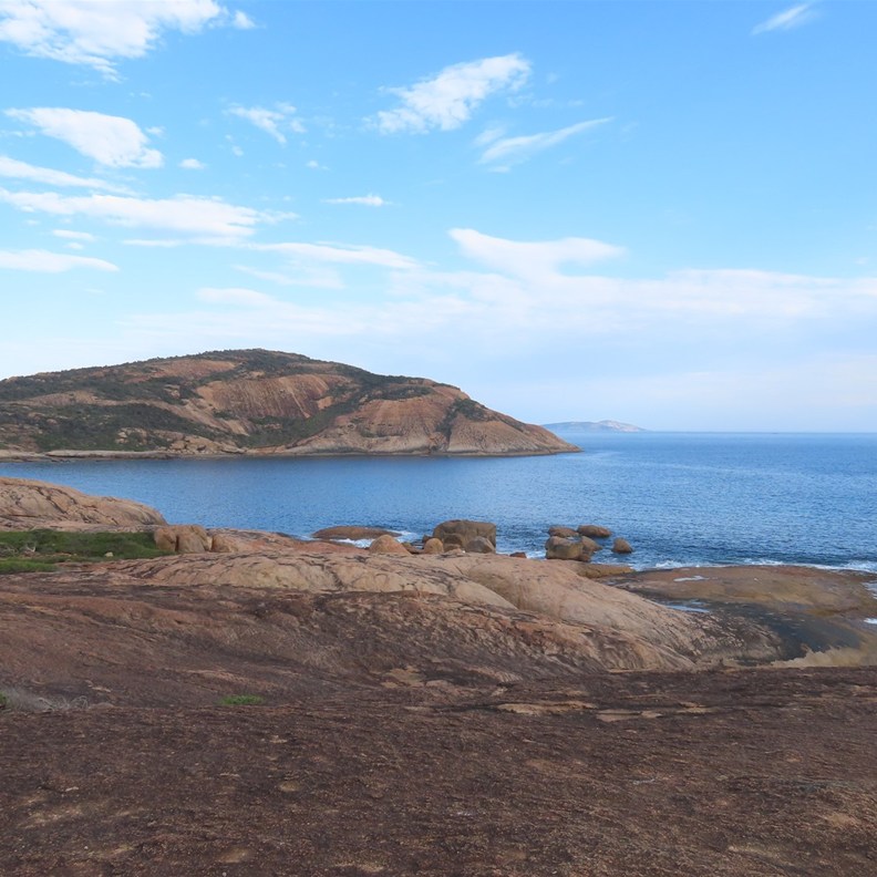 Thistle Cove