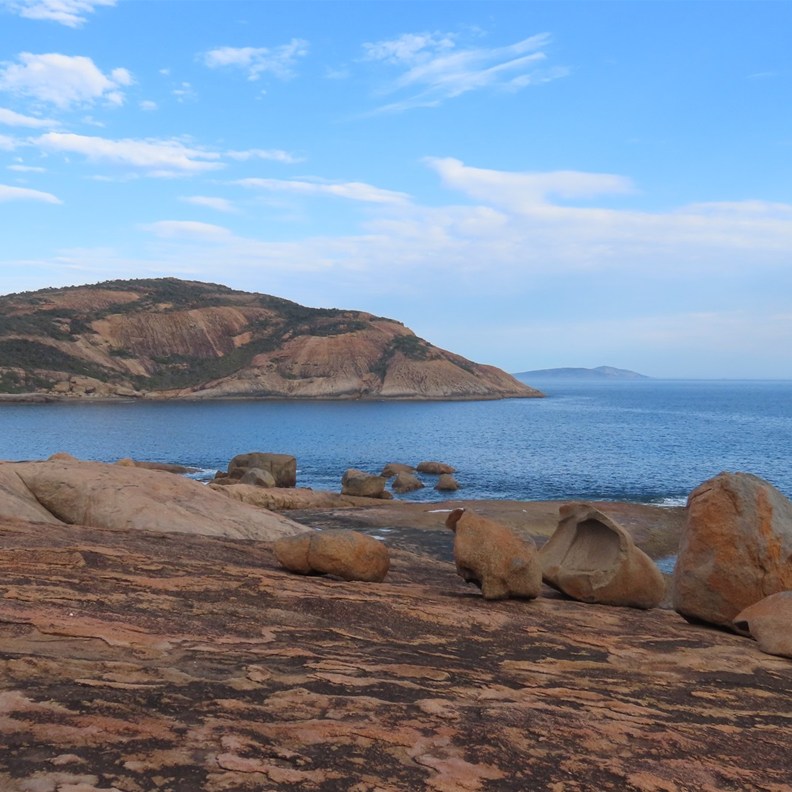 Thistle Cove 3