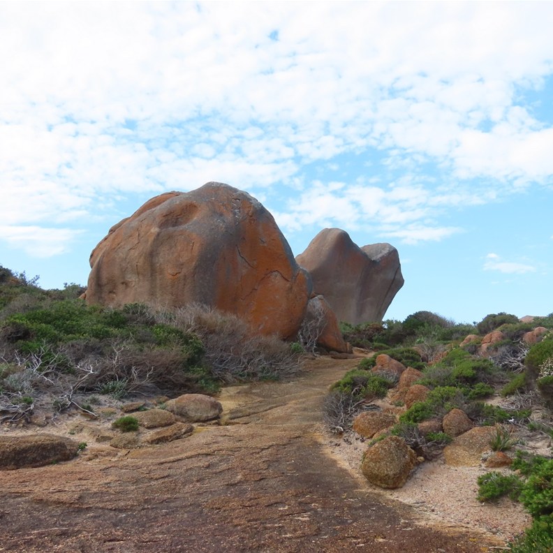 Thistle Cove 4