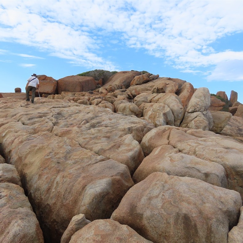 Thistle Cove 5